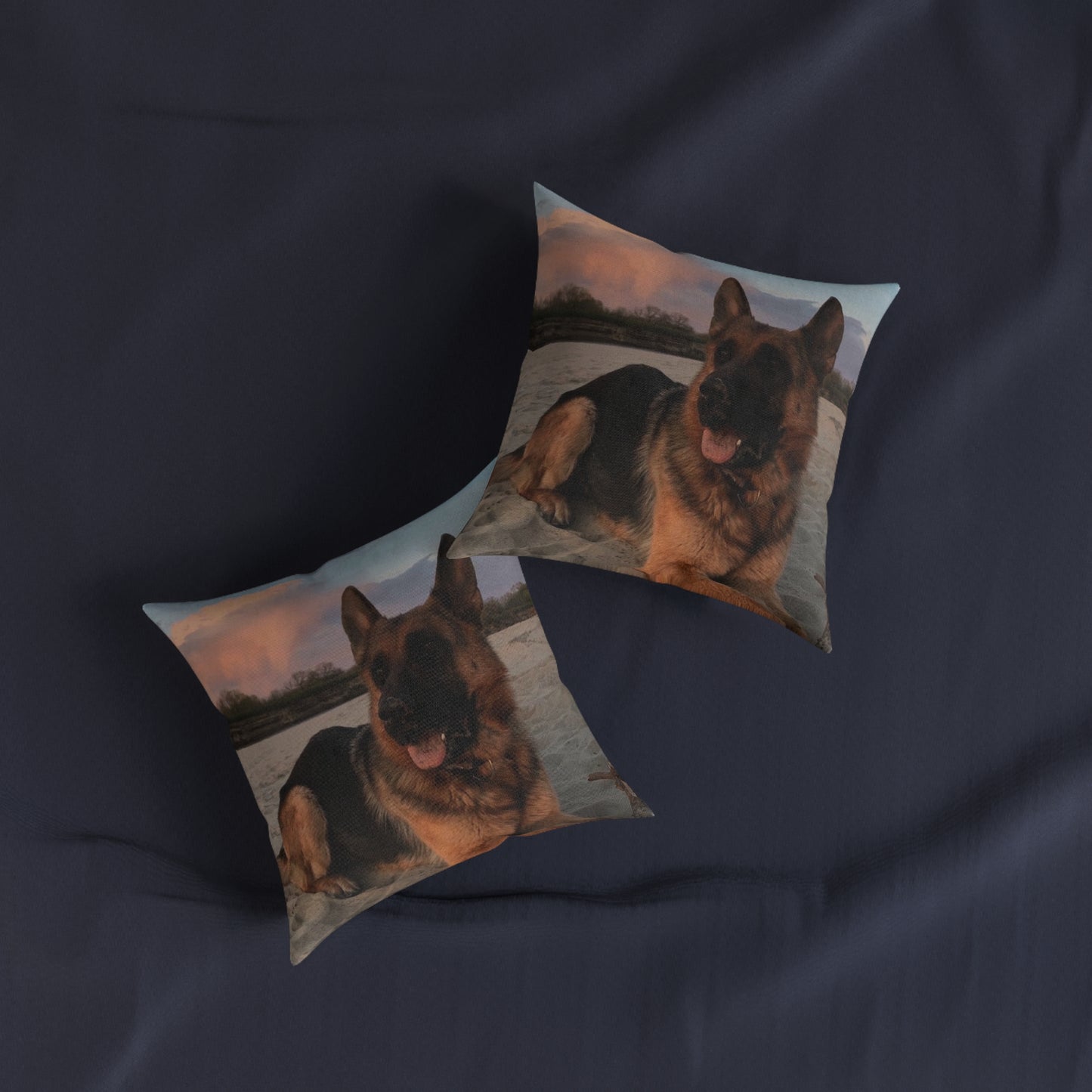 German Shepherd Dog