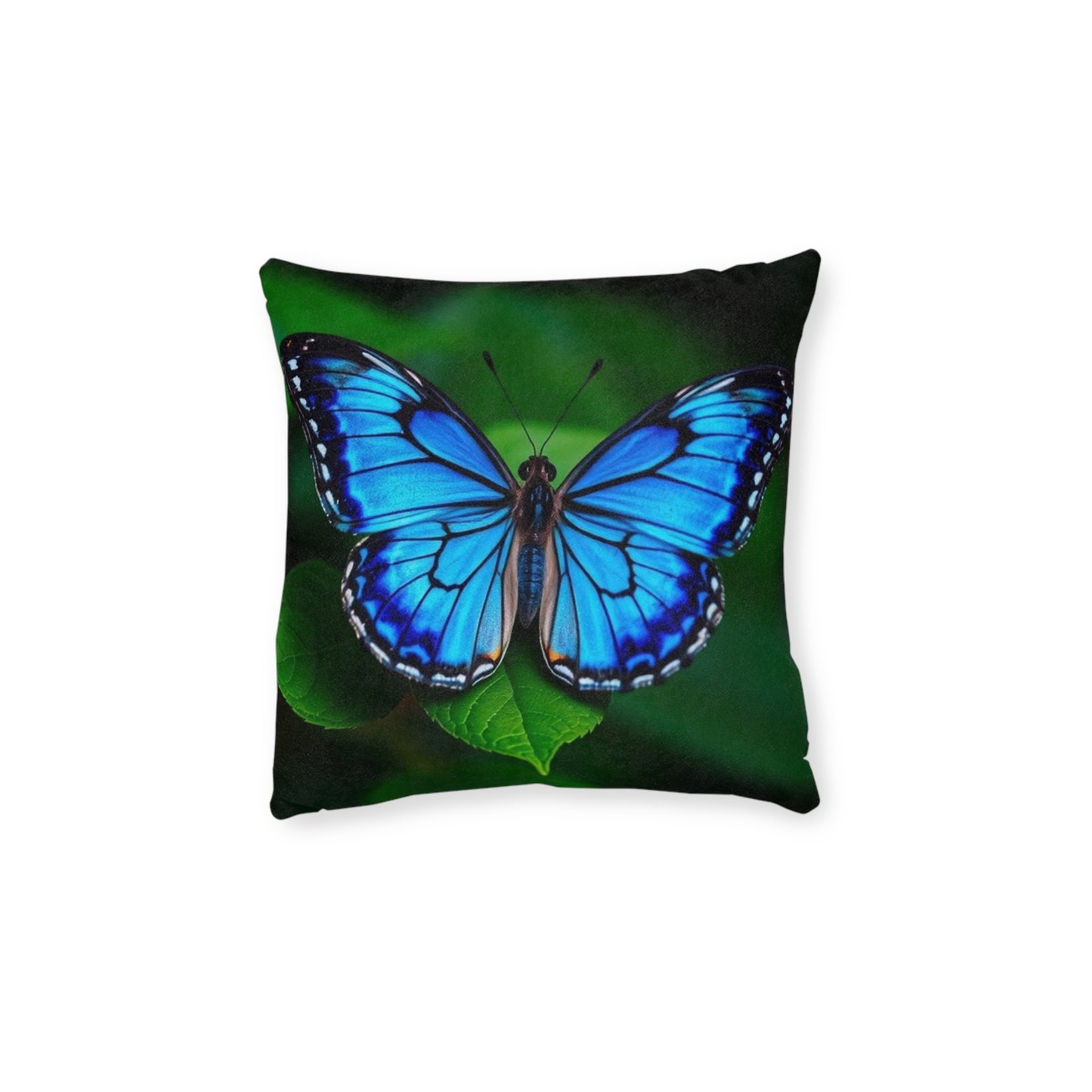 Butterfly Blue