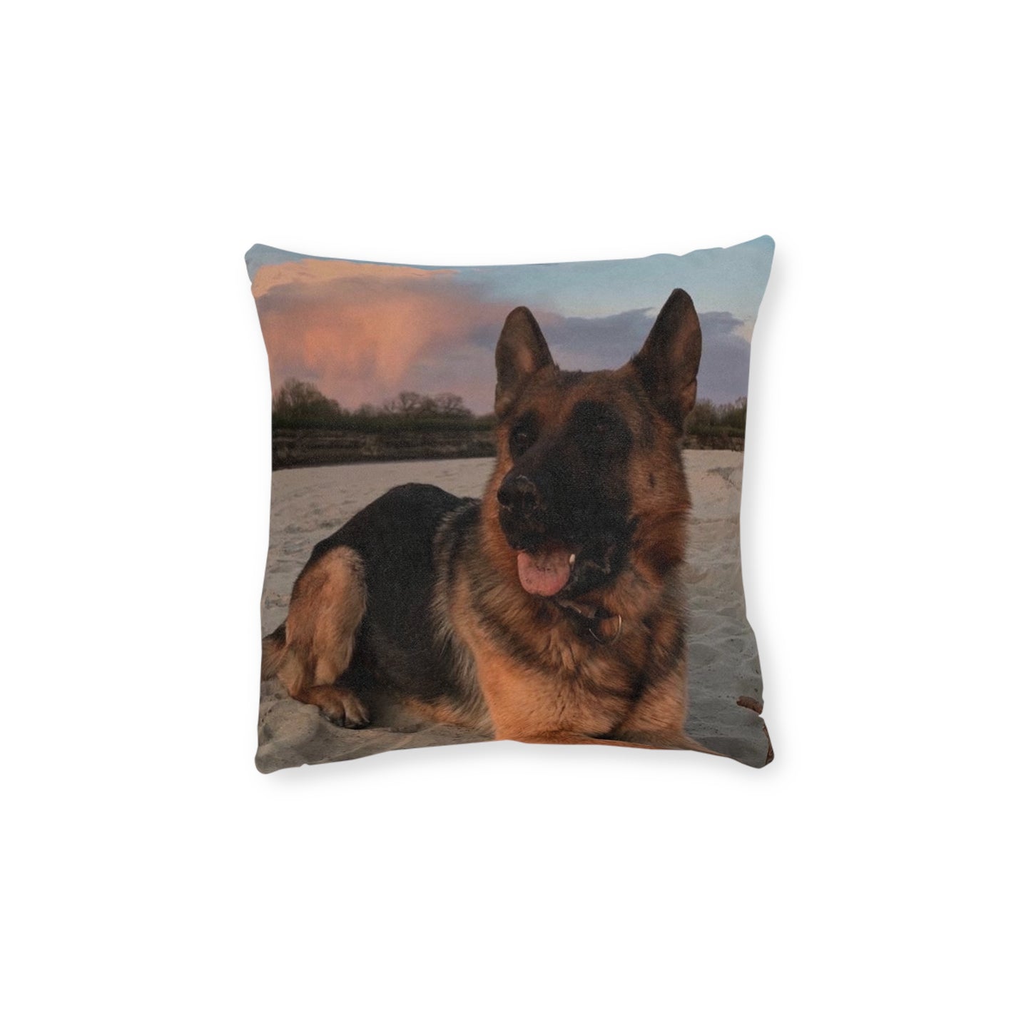 German Shepherd Dog