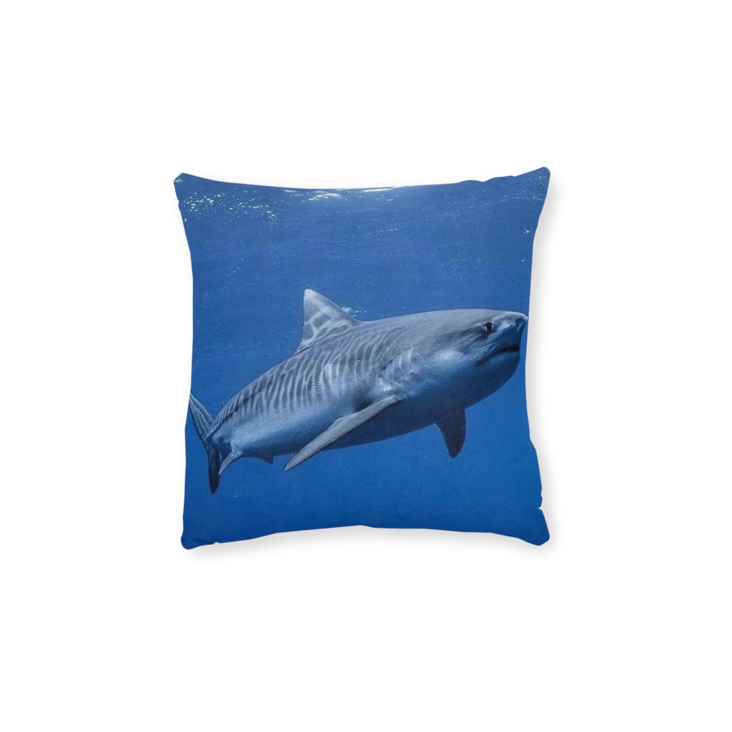 Tiger Shark
