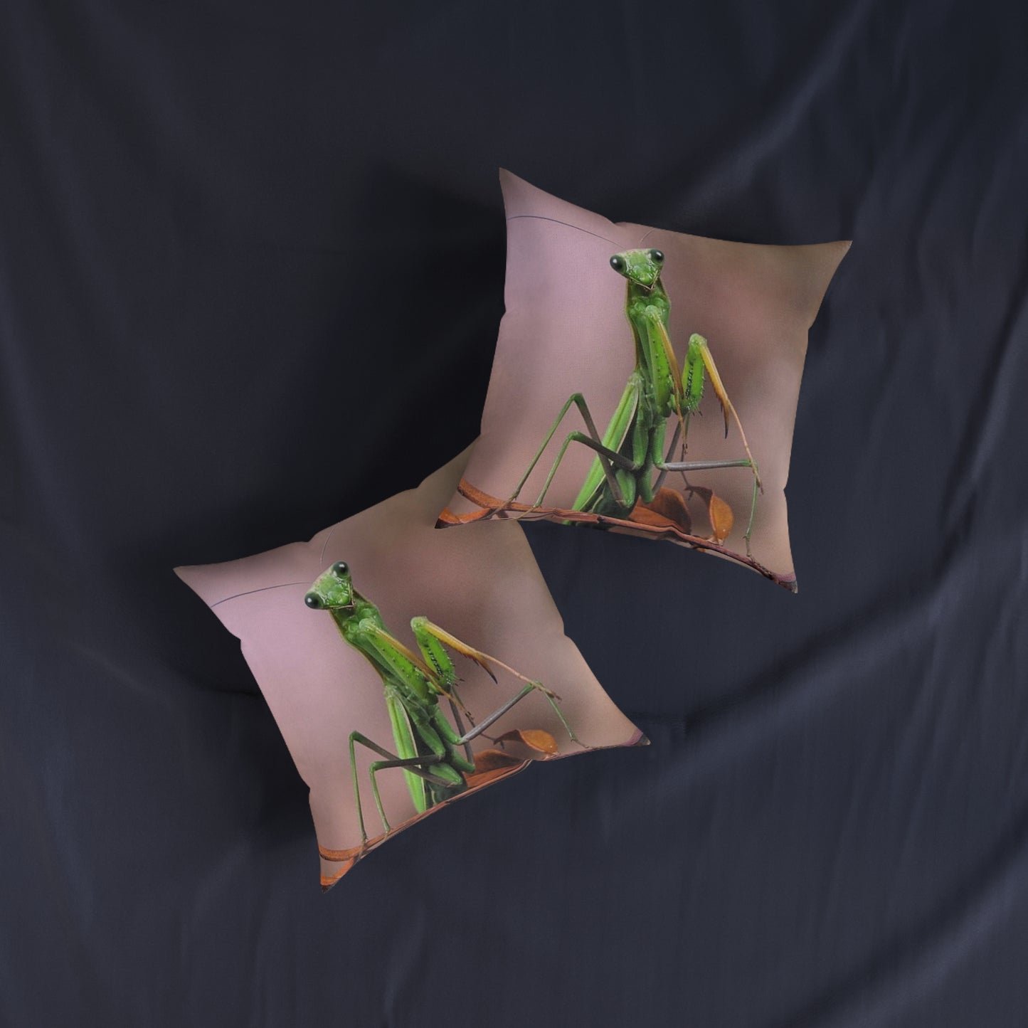Praying Mantis