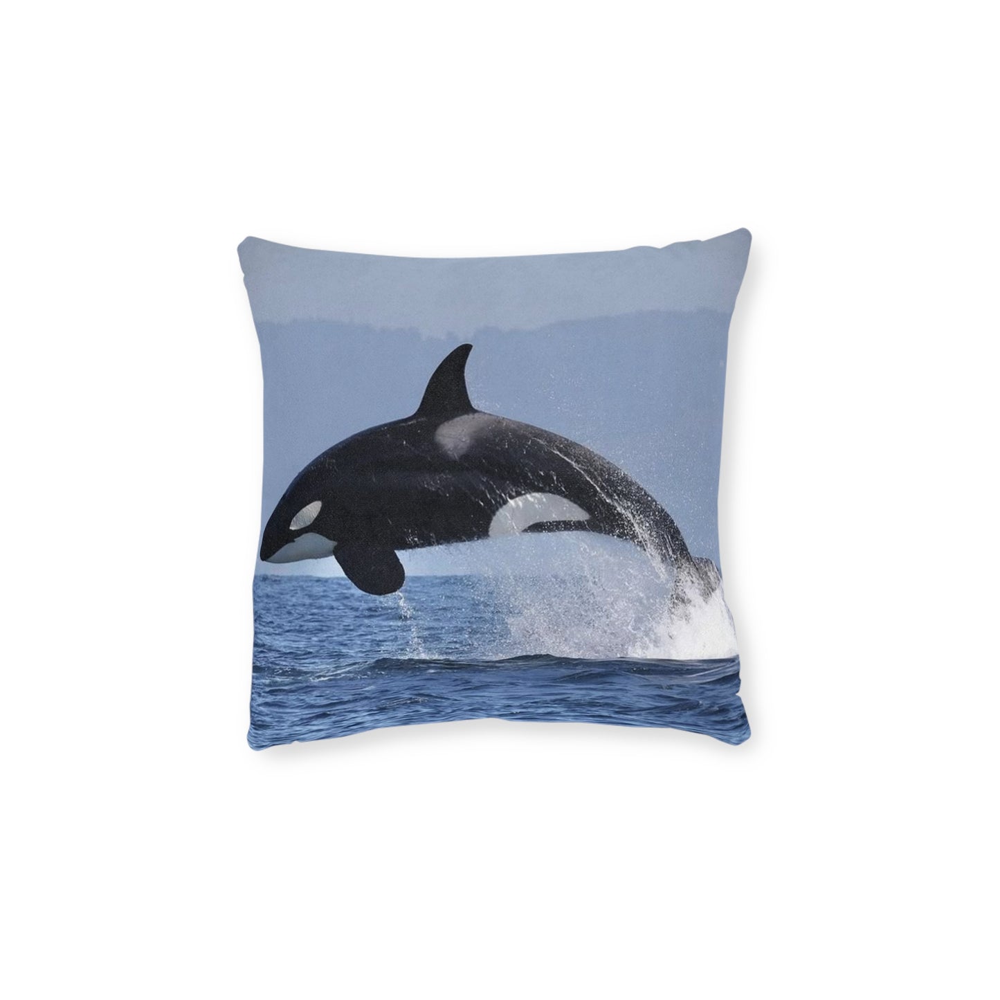 Orca 2