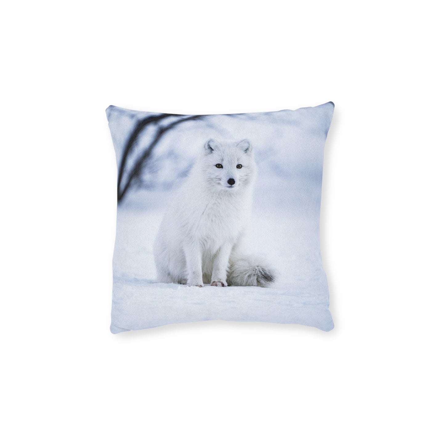 Snow Fox