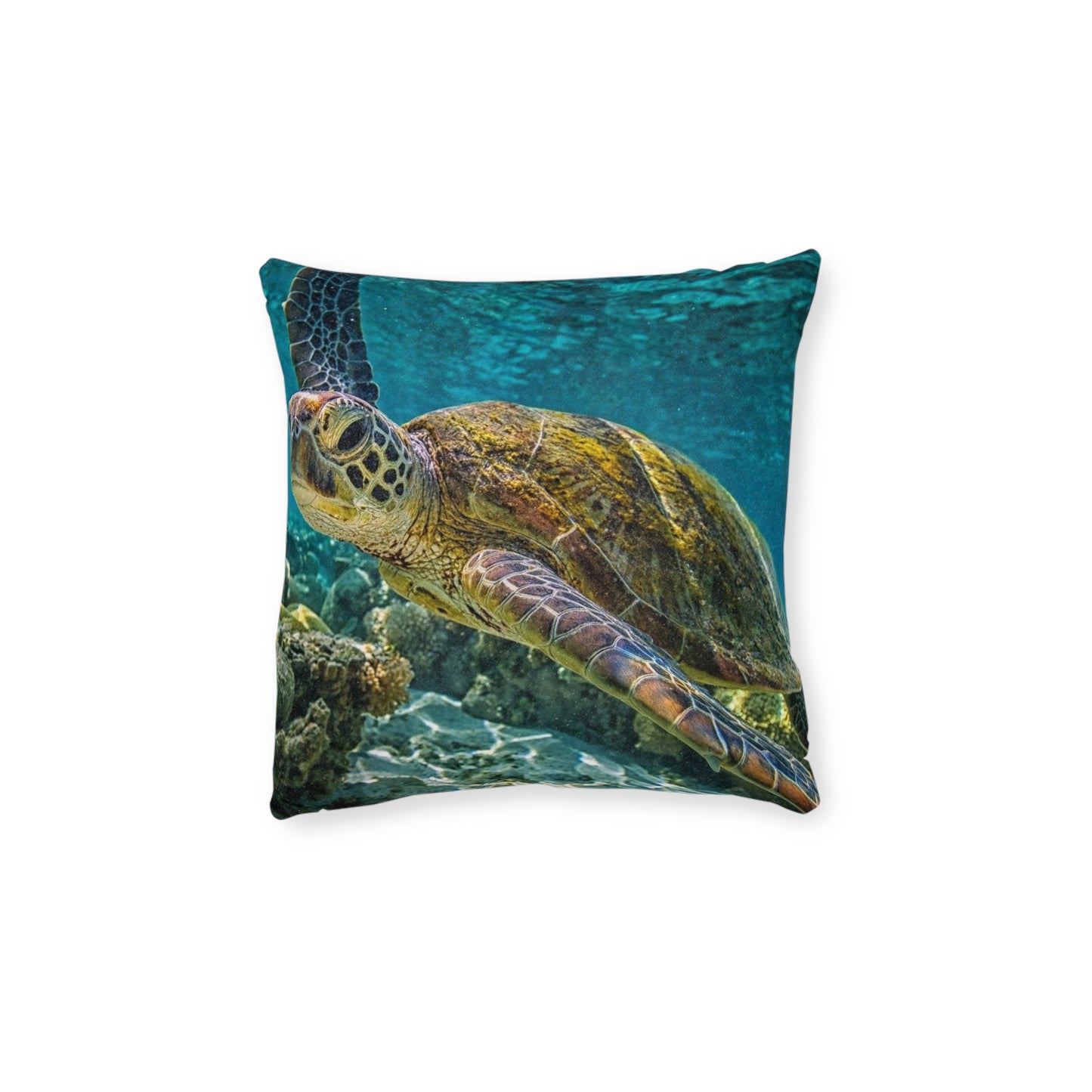 Sea Turtle 2