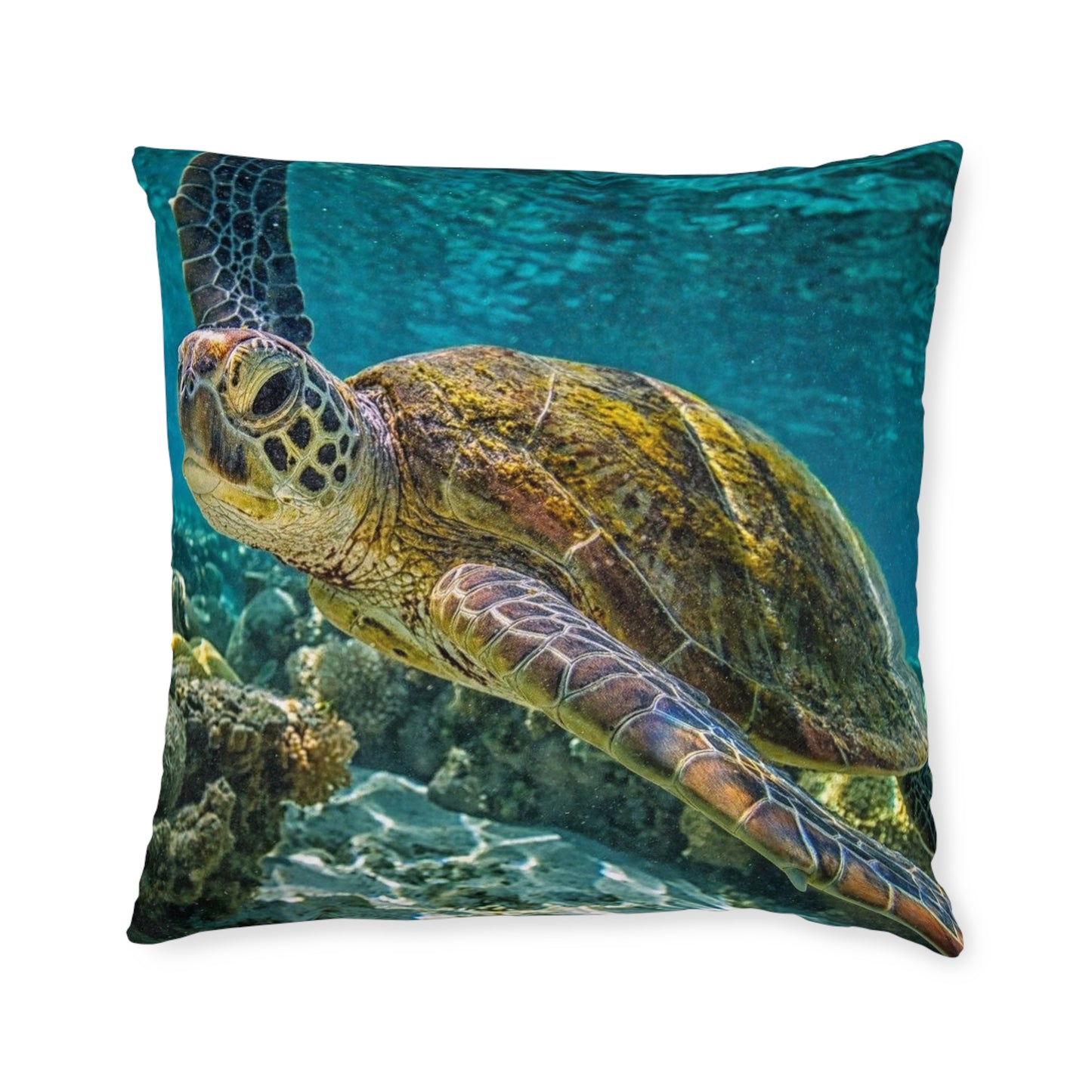 Sea Turtle 2