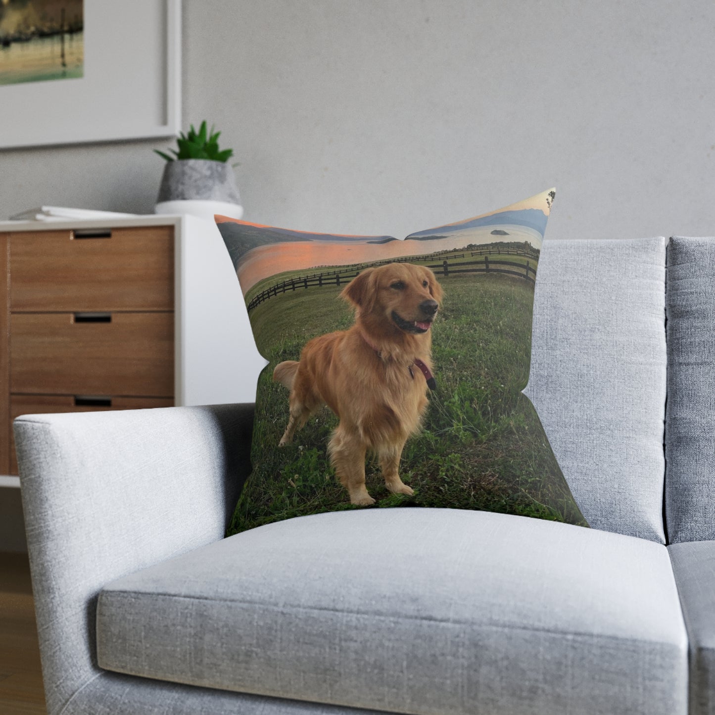 Golden Retriever Dog