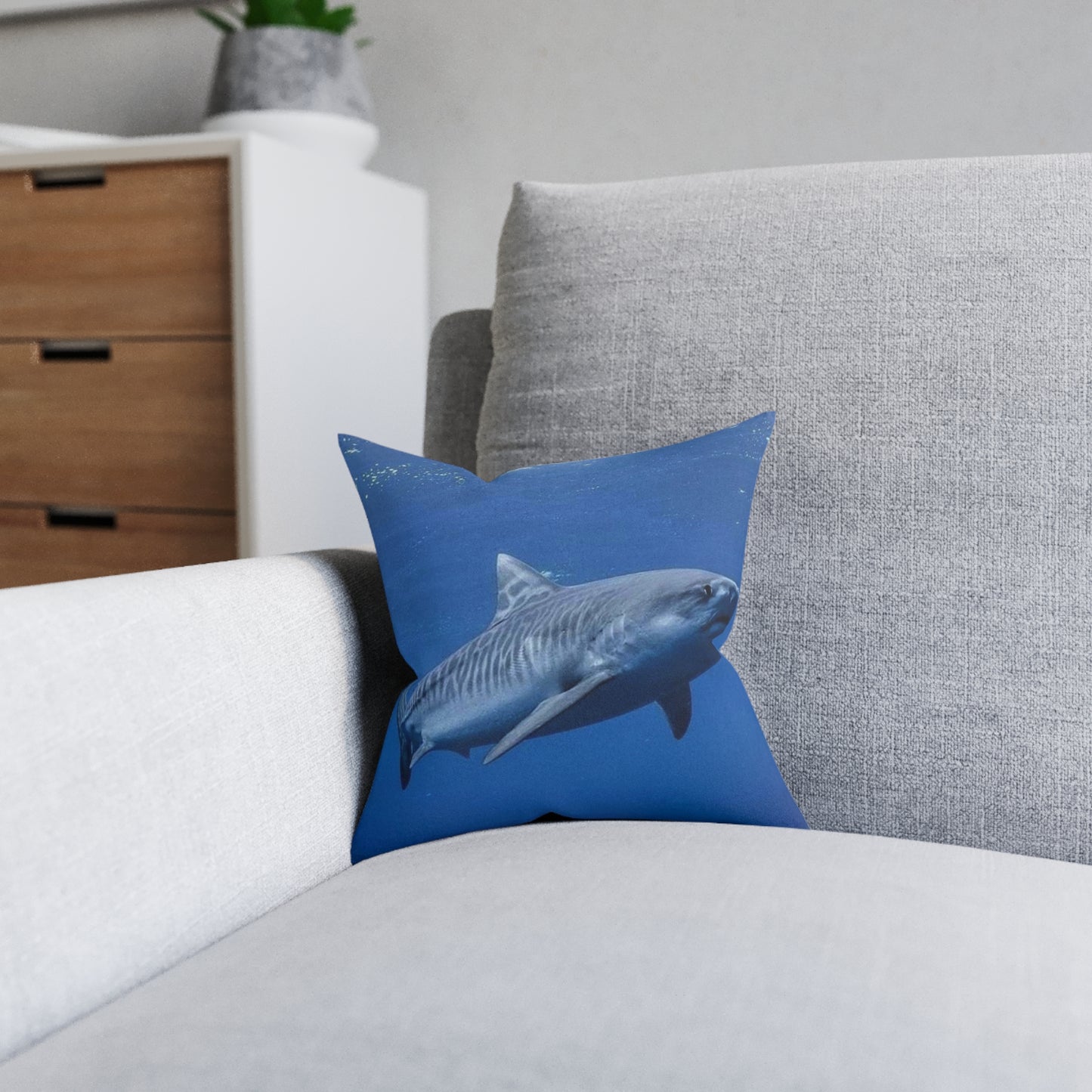 Tiger Shark