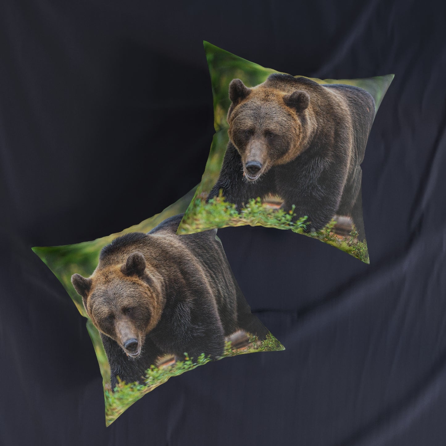 Brown Bear