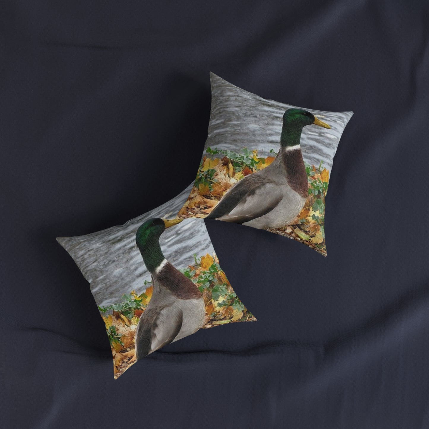 Duck 2