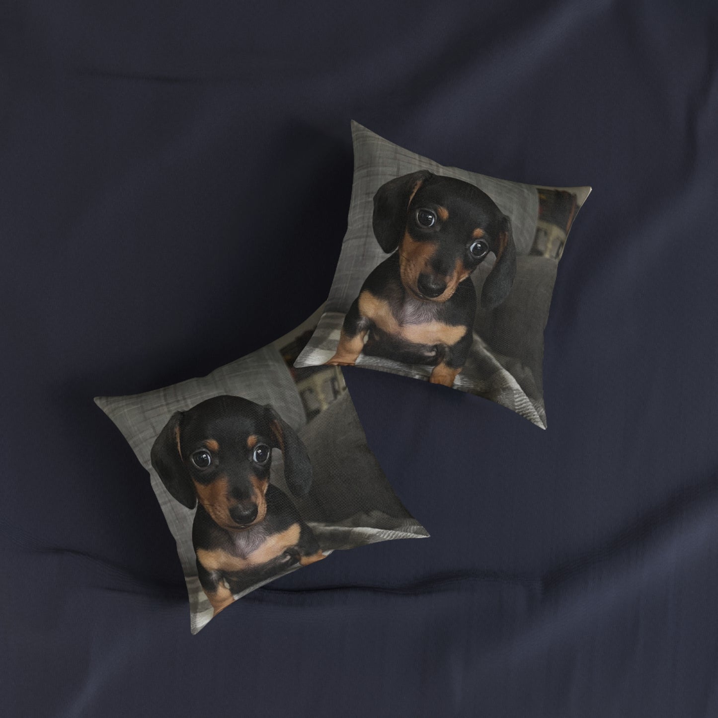 Dachshund Dog