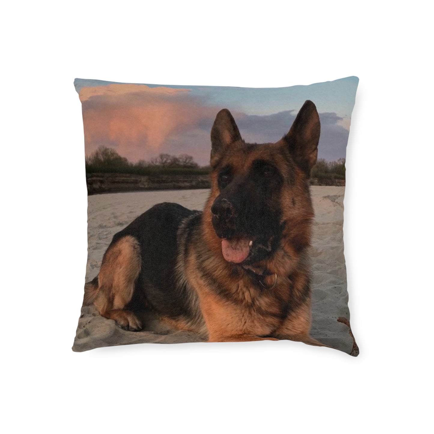 German Shepherd Dog