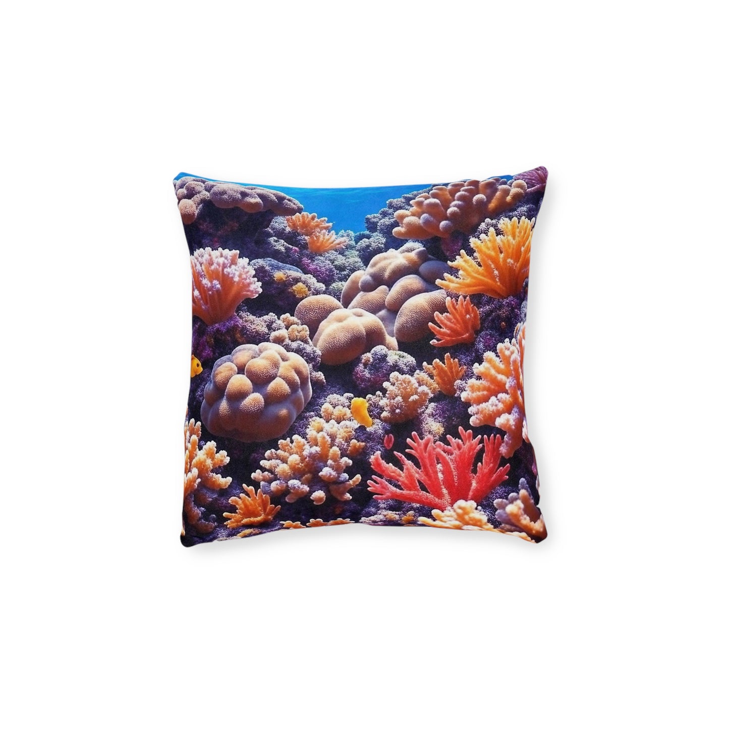 Coral Reef