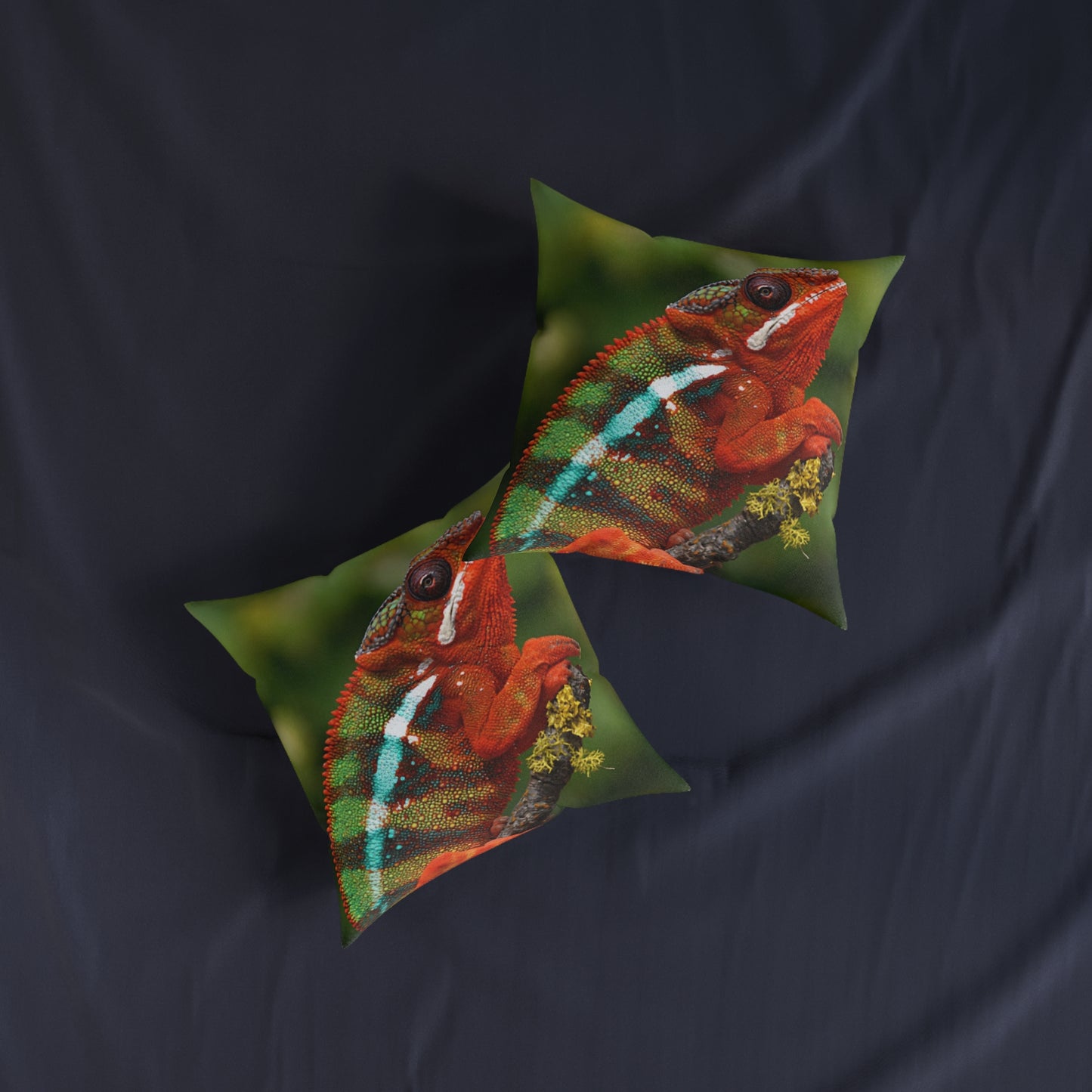 Chameleon