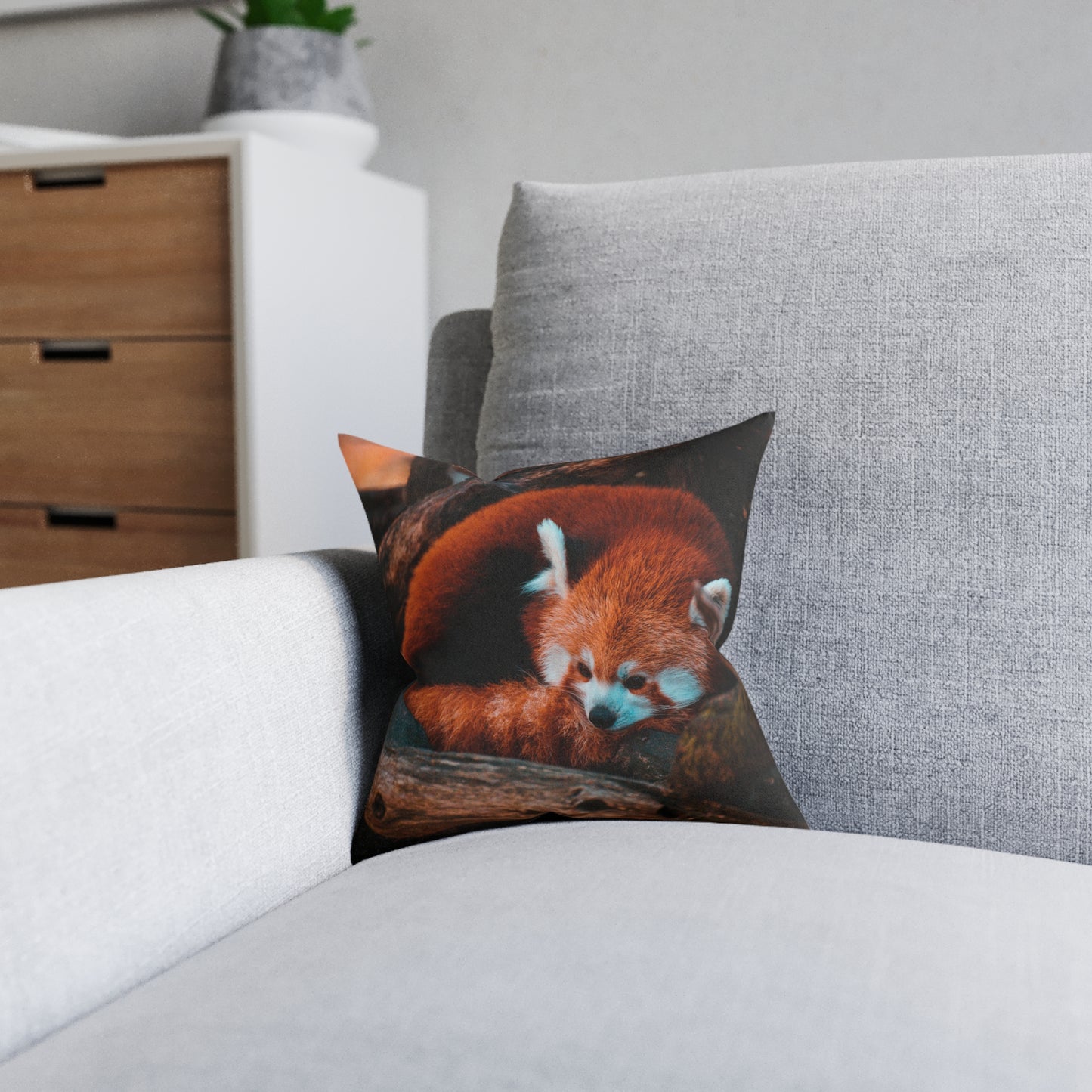Red Panda