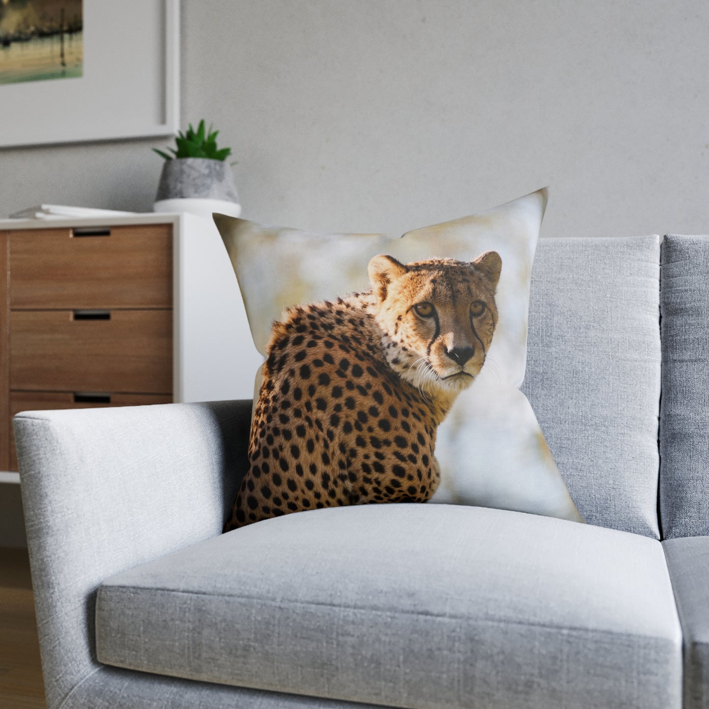 Cheetah