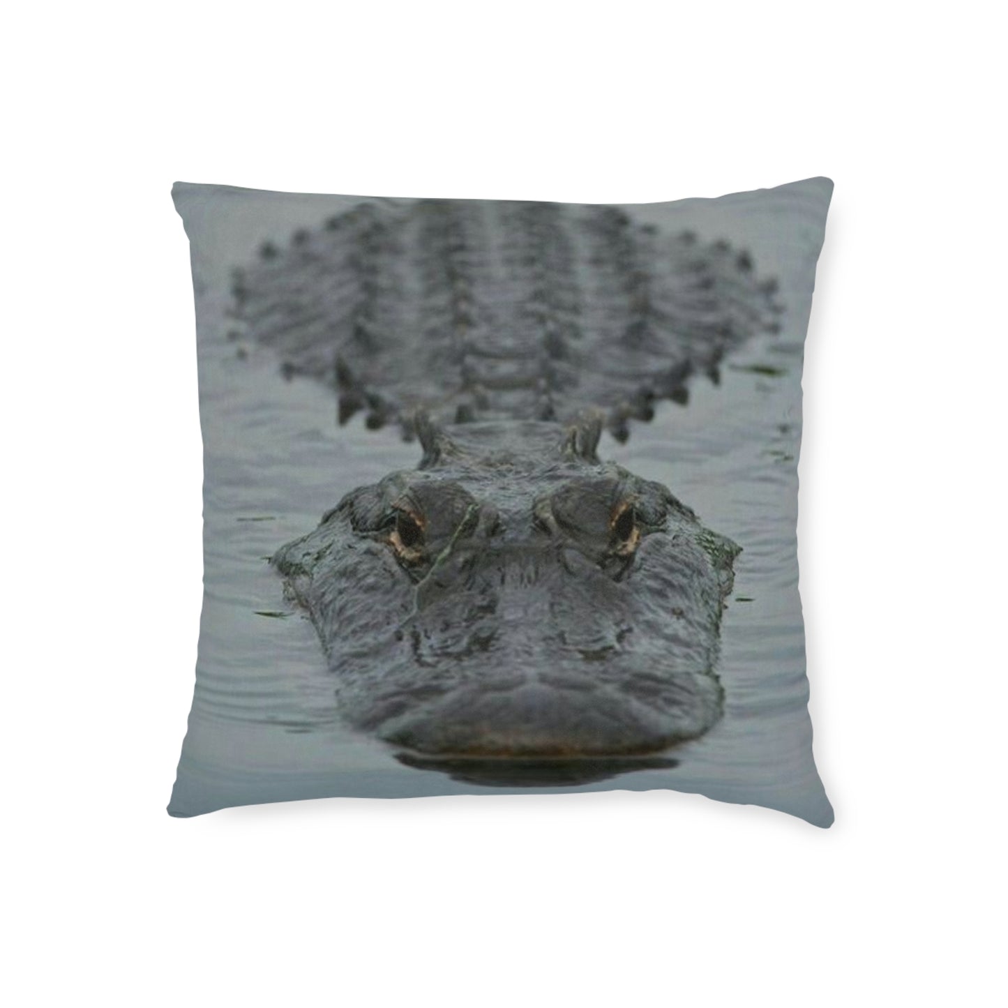 Crocodile 2