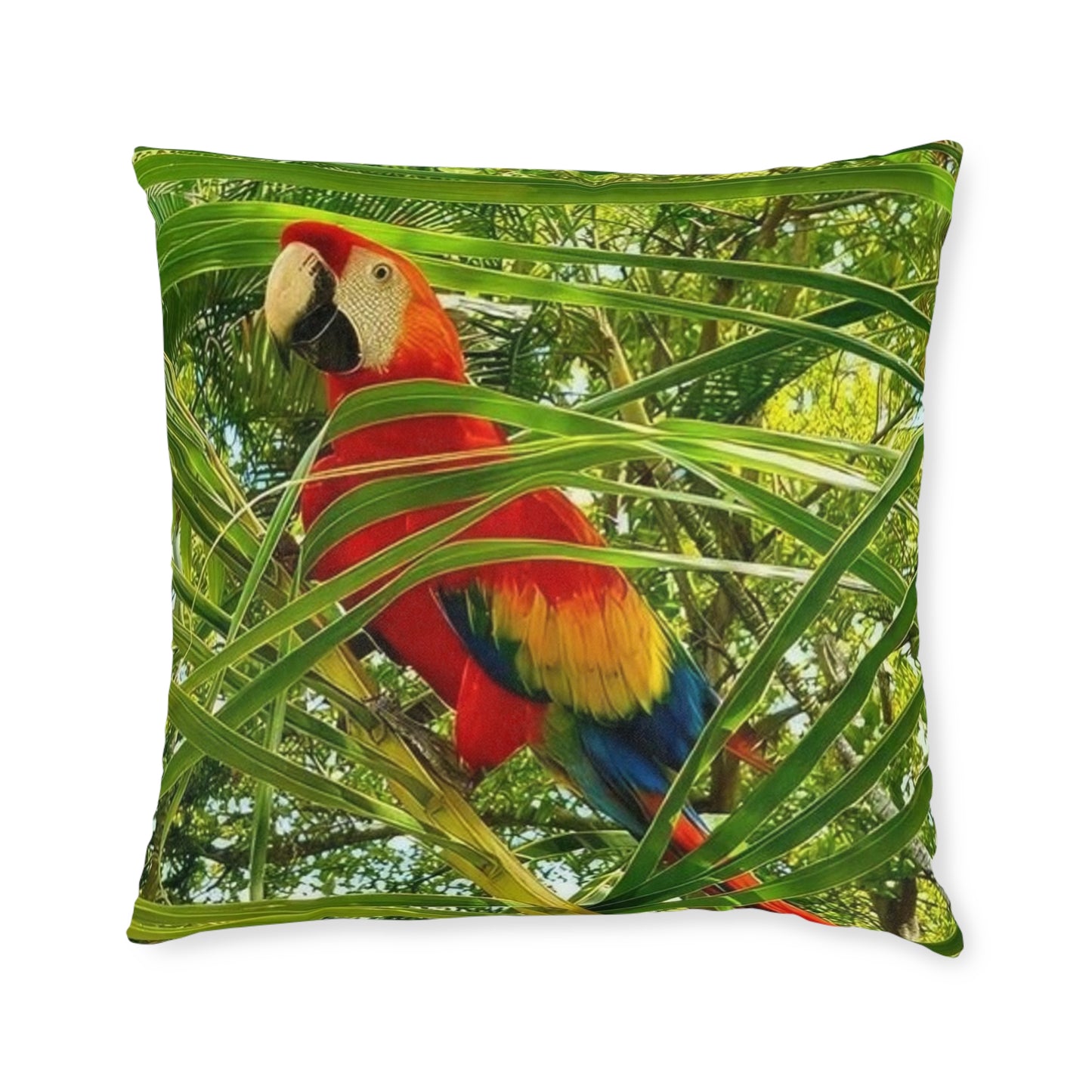Parrot Red