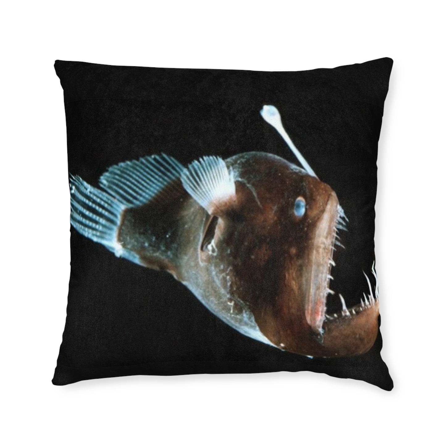 Anglerfish
