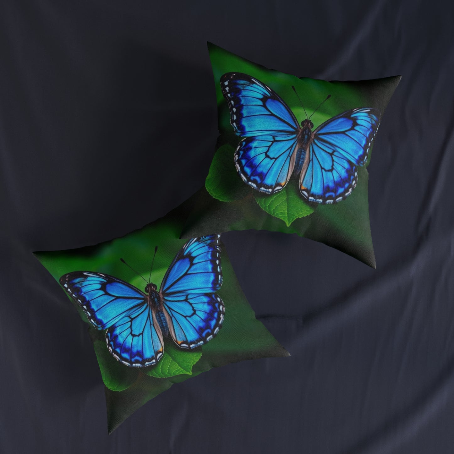 Butterfly Blue