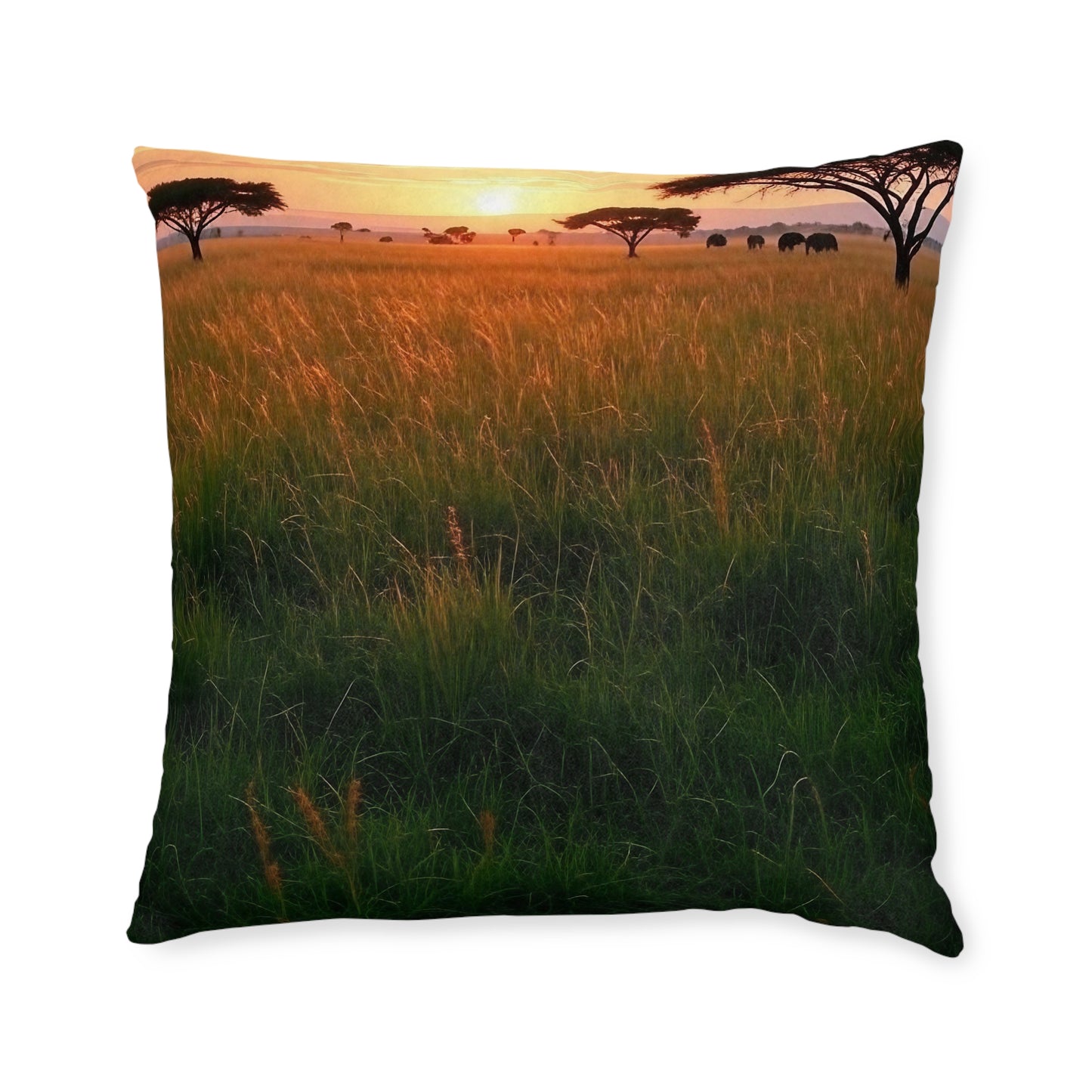 Savanna