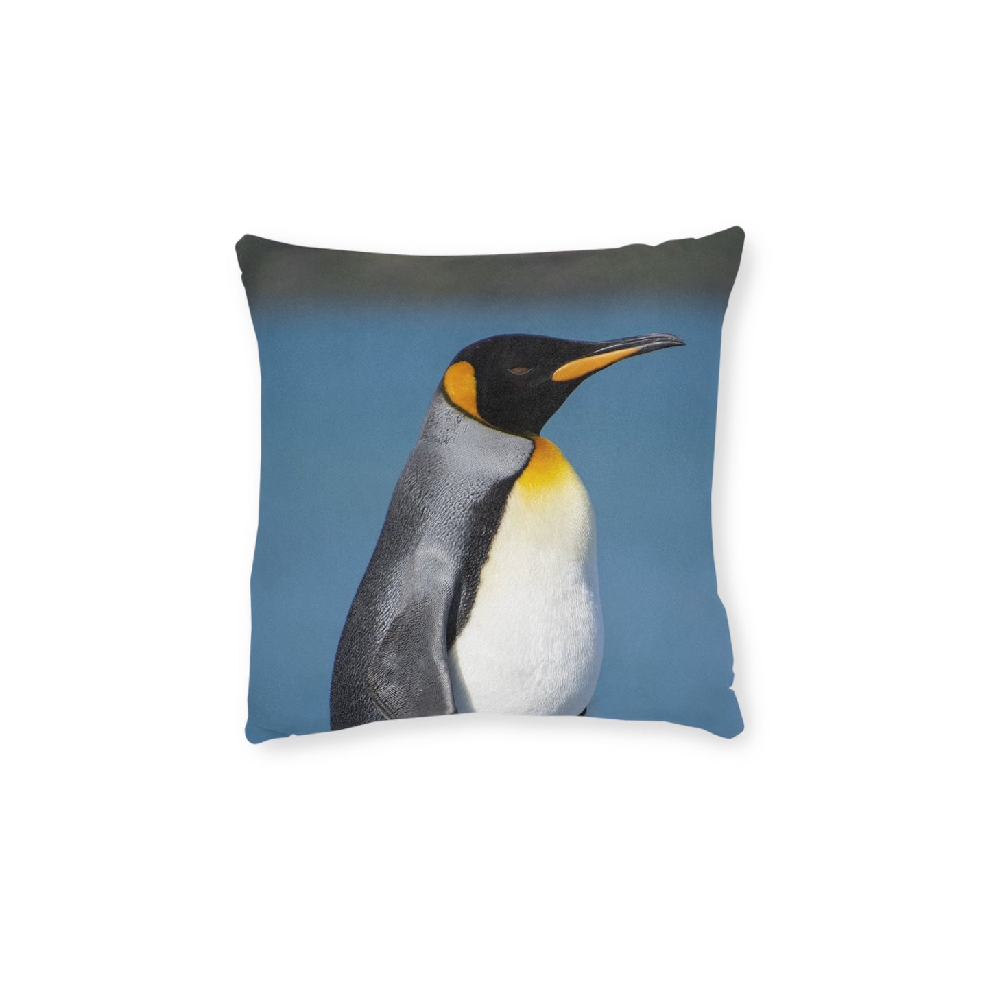 King Penguin