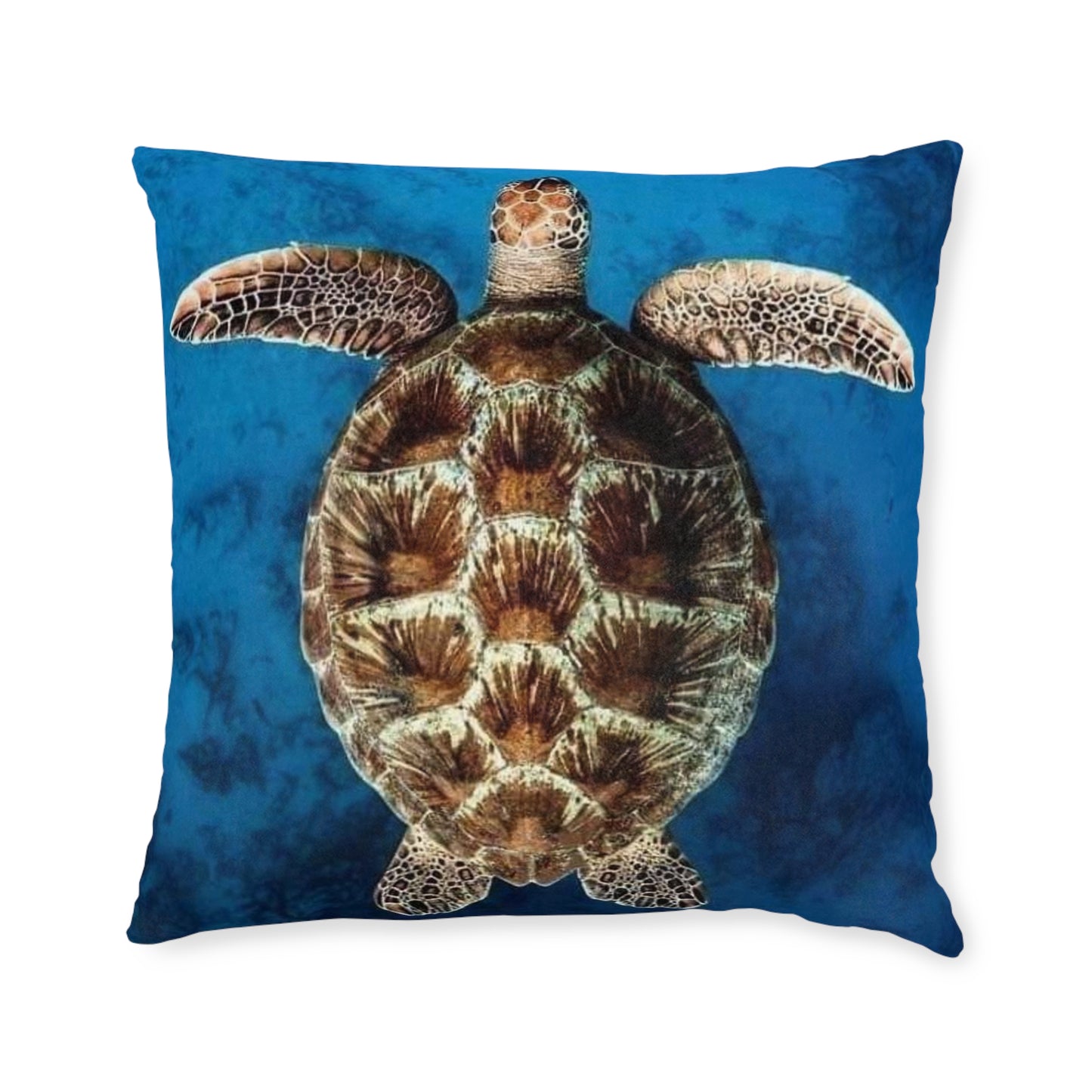 Sea Turtle