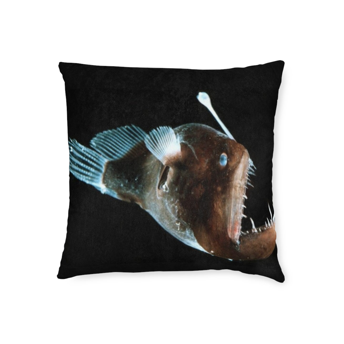 Anglerfish