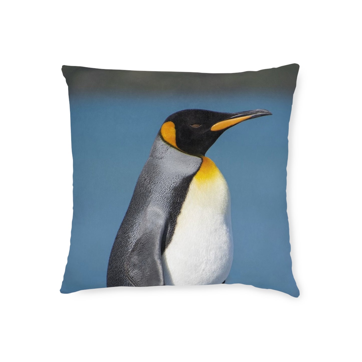 King Penguin