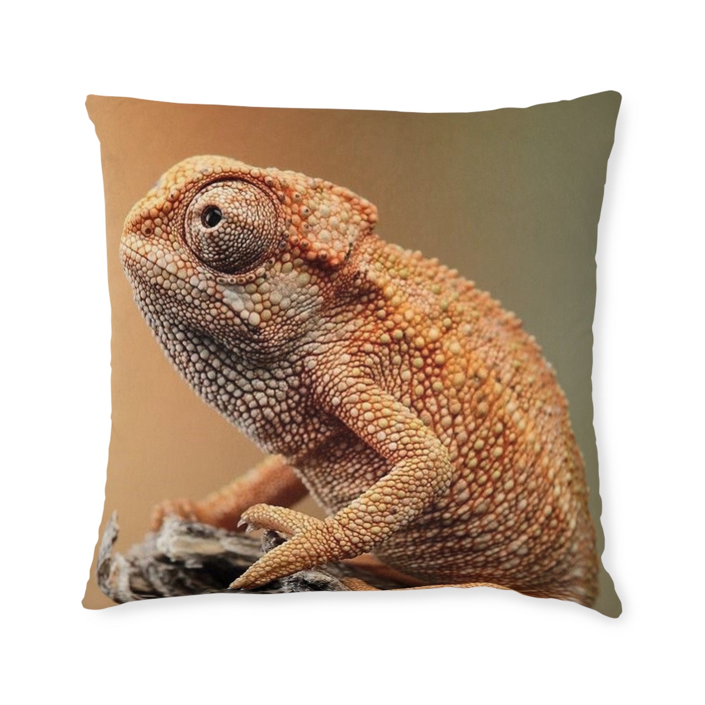 Chameleon 2