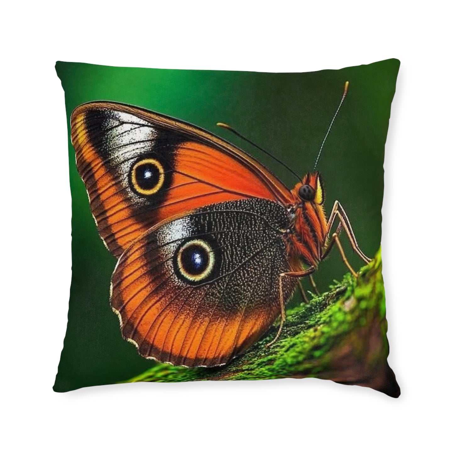 Butterfly Orange