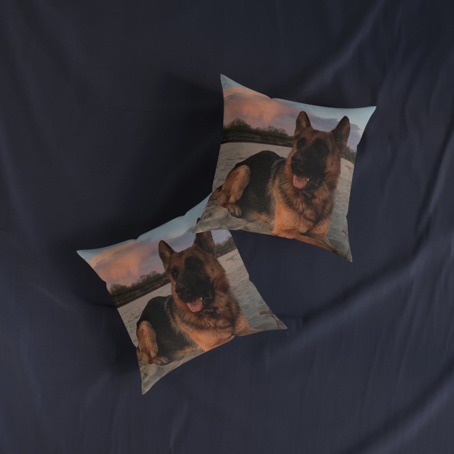 German Shepherd Dog