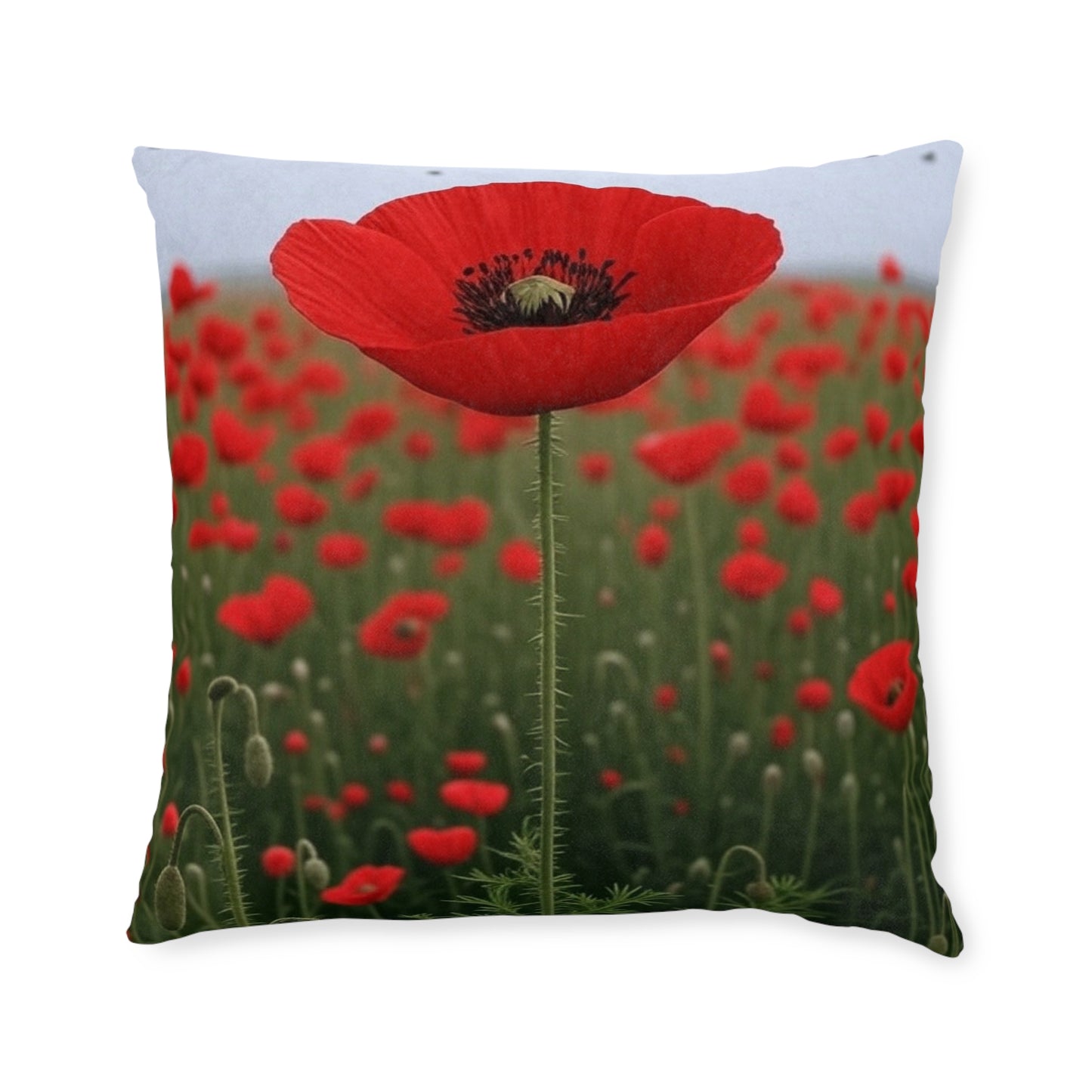 Remembrance Day