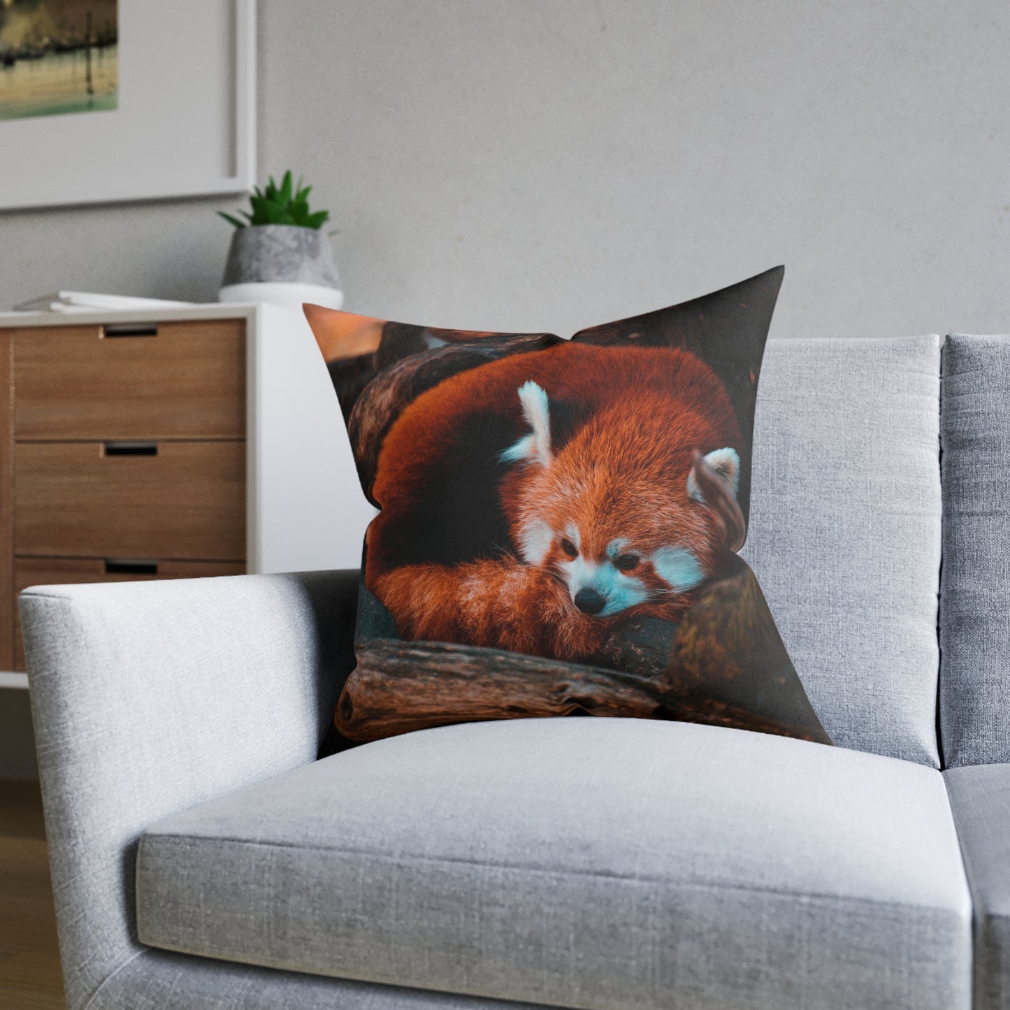 Red Panda