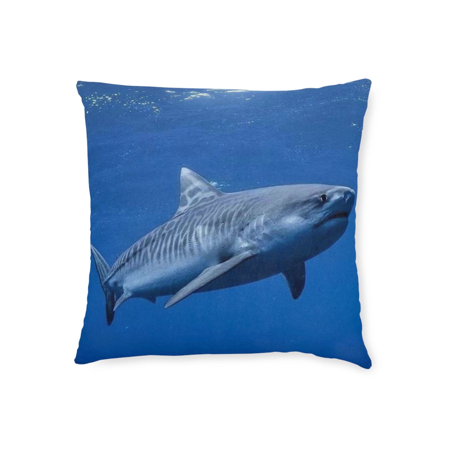 Tiger Shark