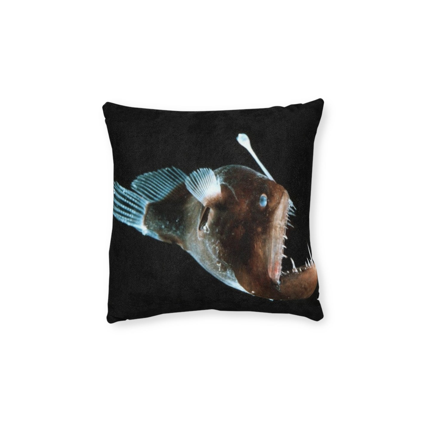 Anglerfish