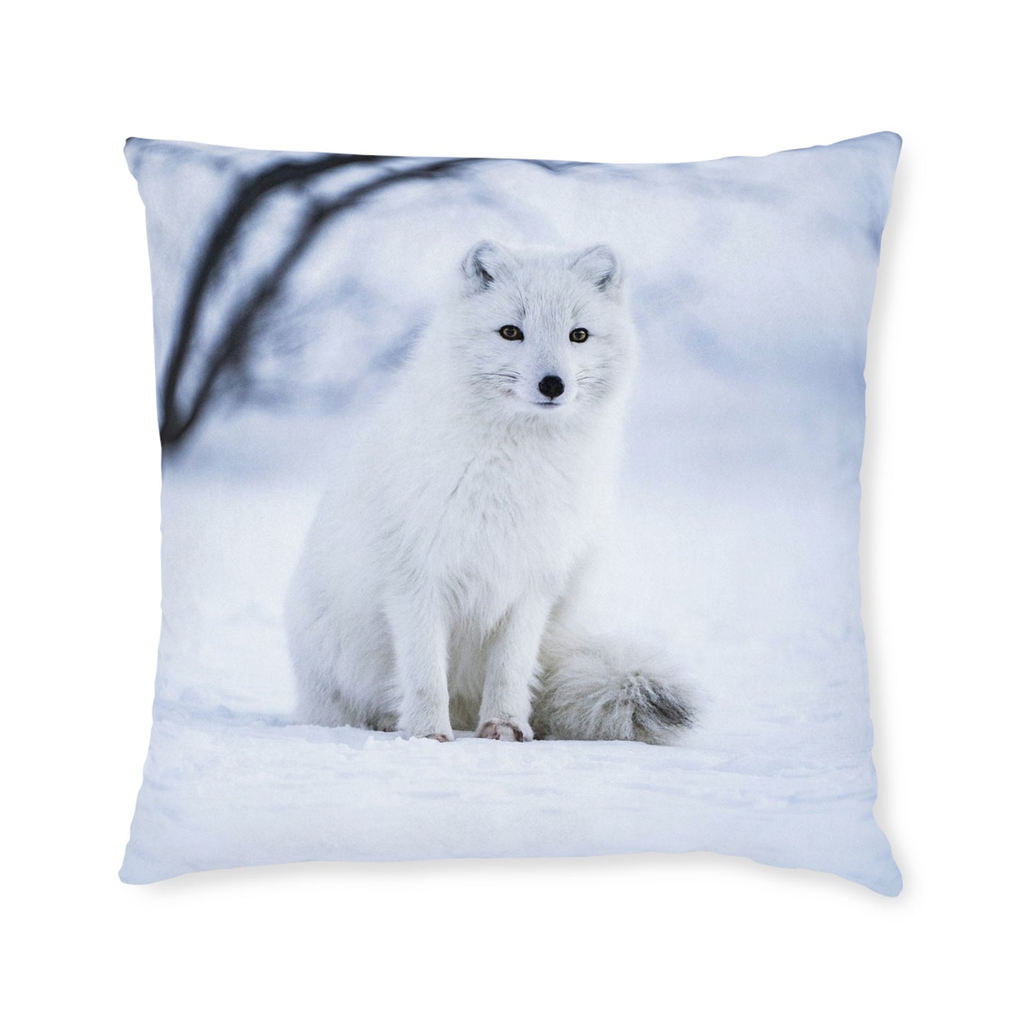 Snow Fox