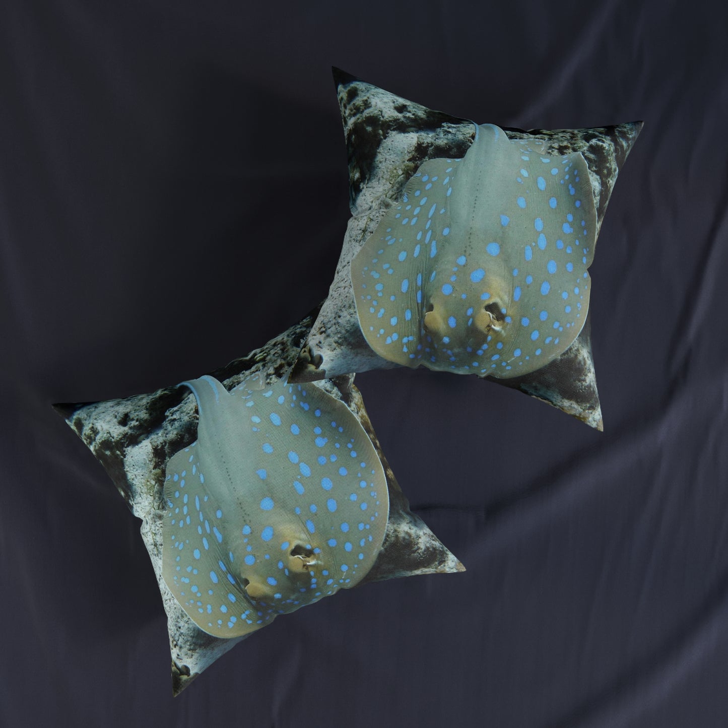 Stingray 2