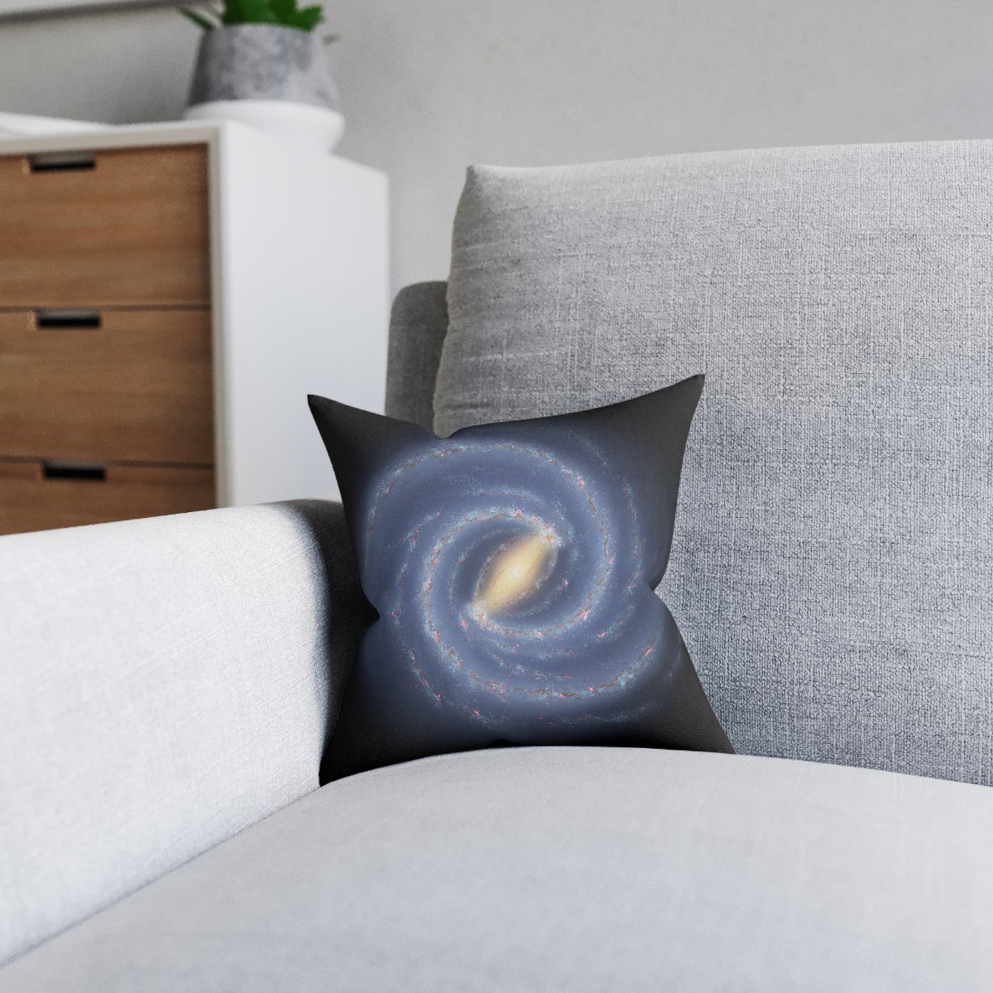 The Milky Way Galaxy