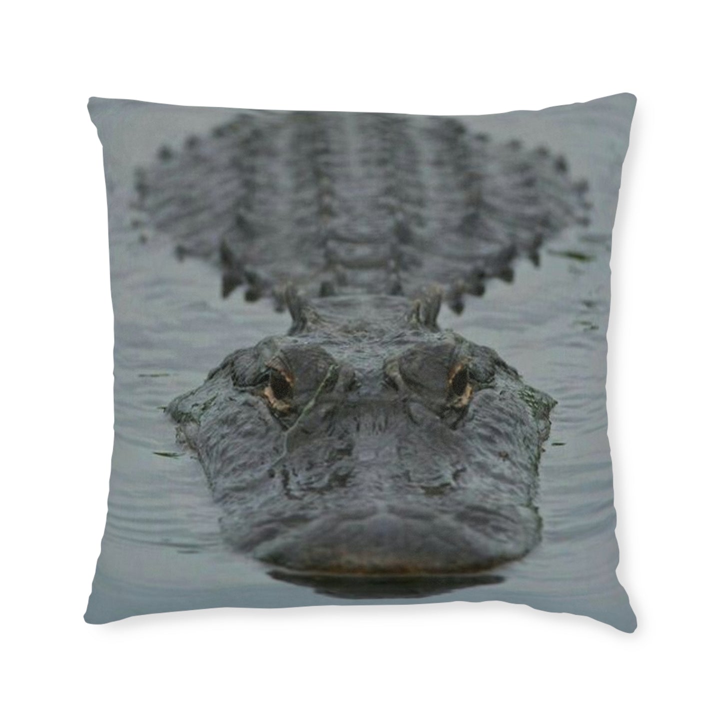 Crocodile 2