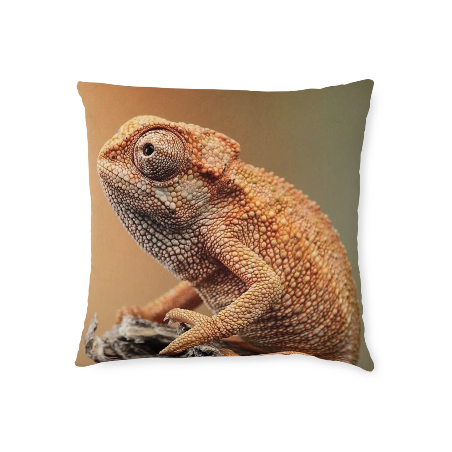 Chameleon 2