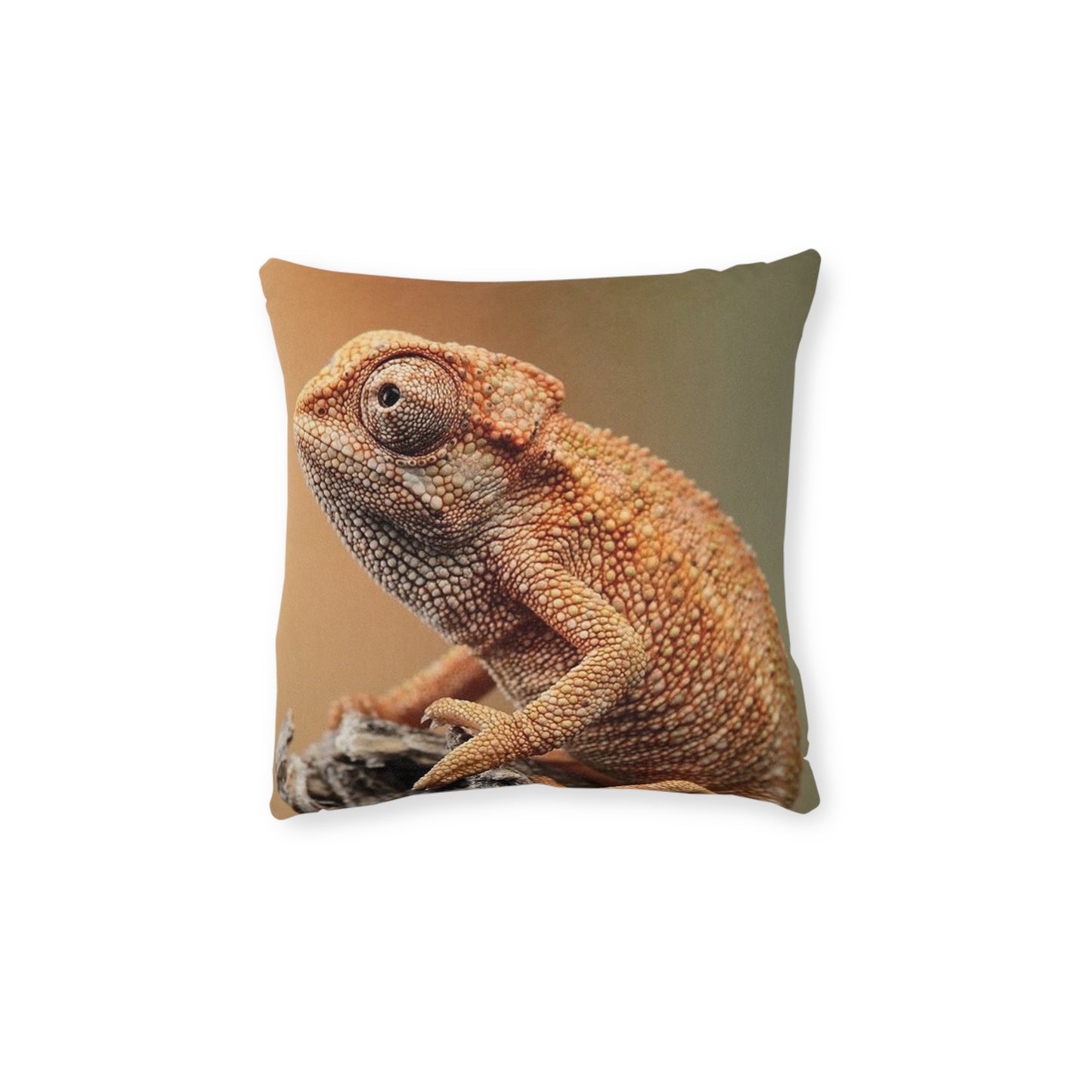 Chameleon 2