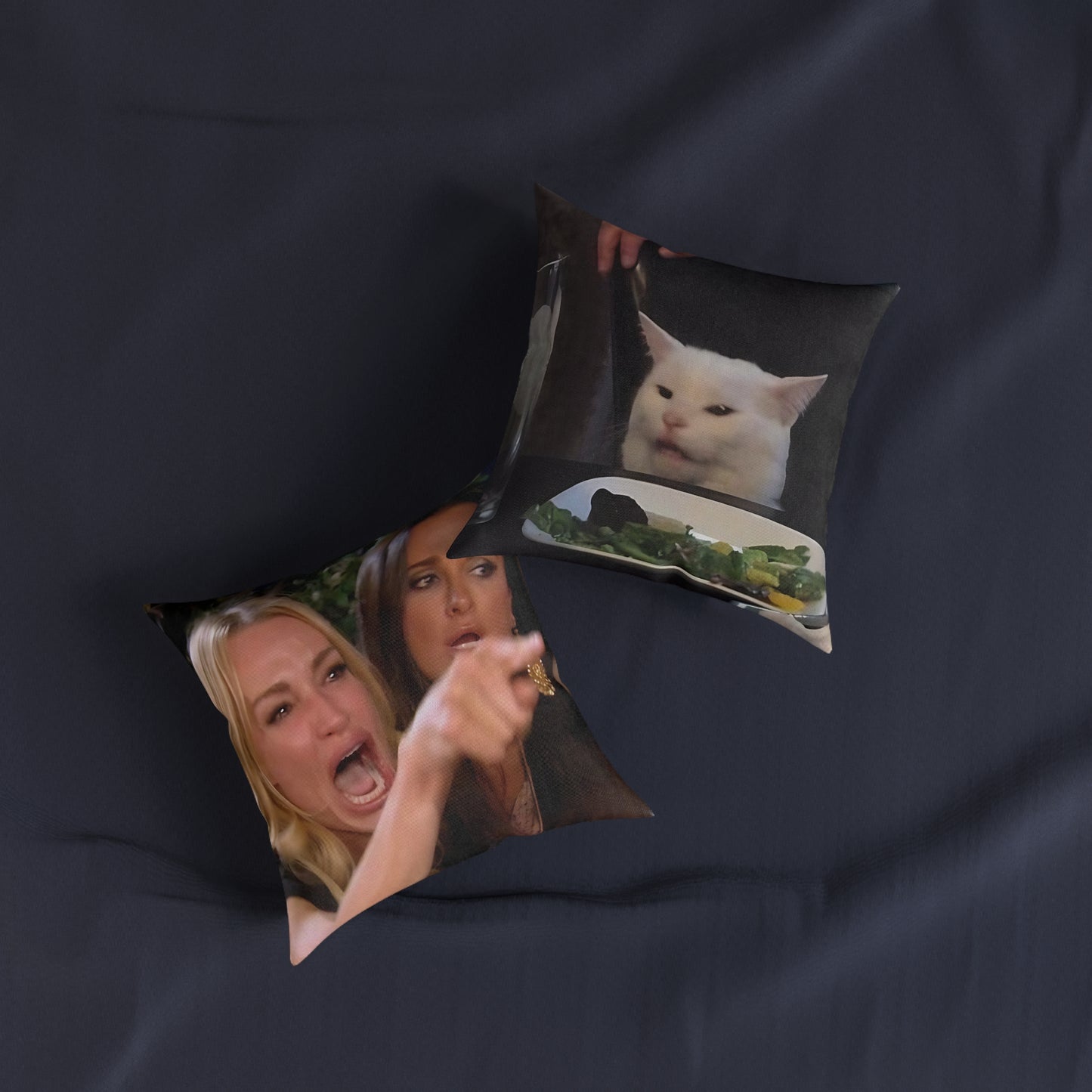 Lady Pointing At Cat Meme