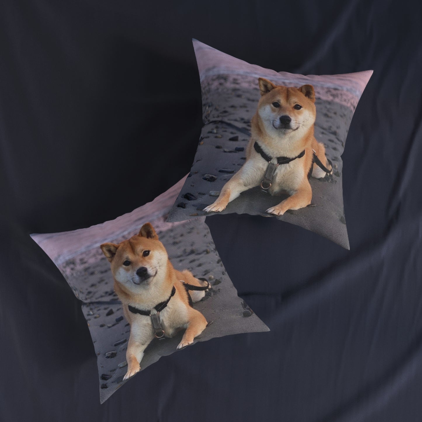 Shiba Inu Dog