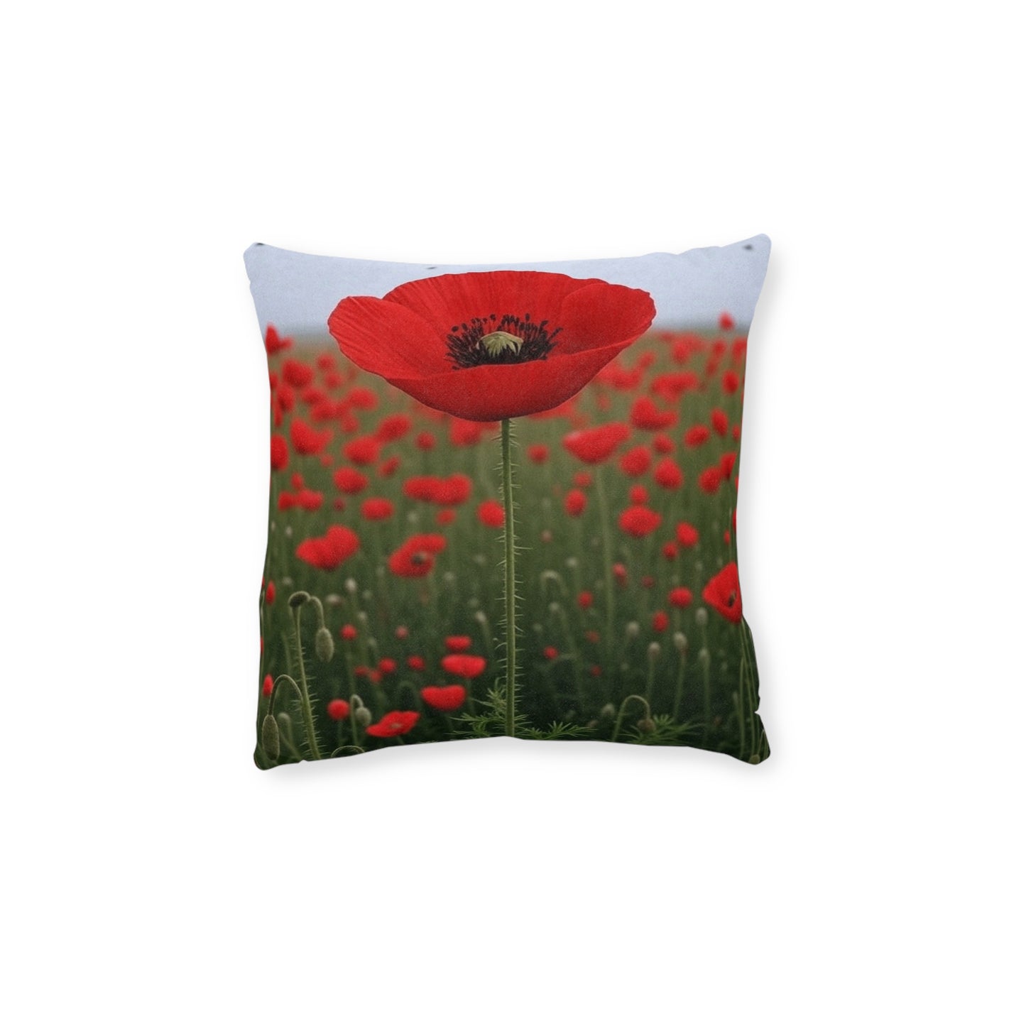 Remembrance Day