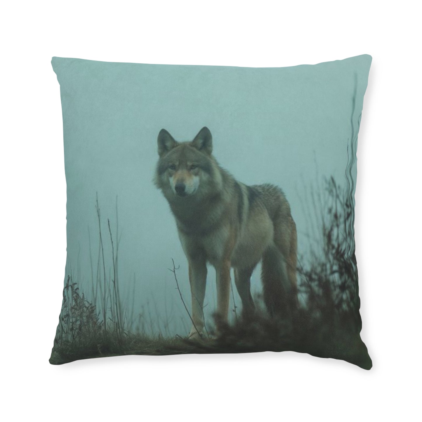 Wolf 2