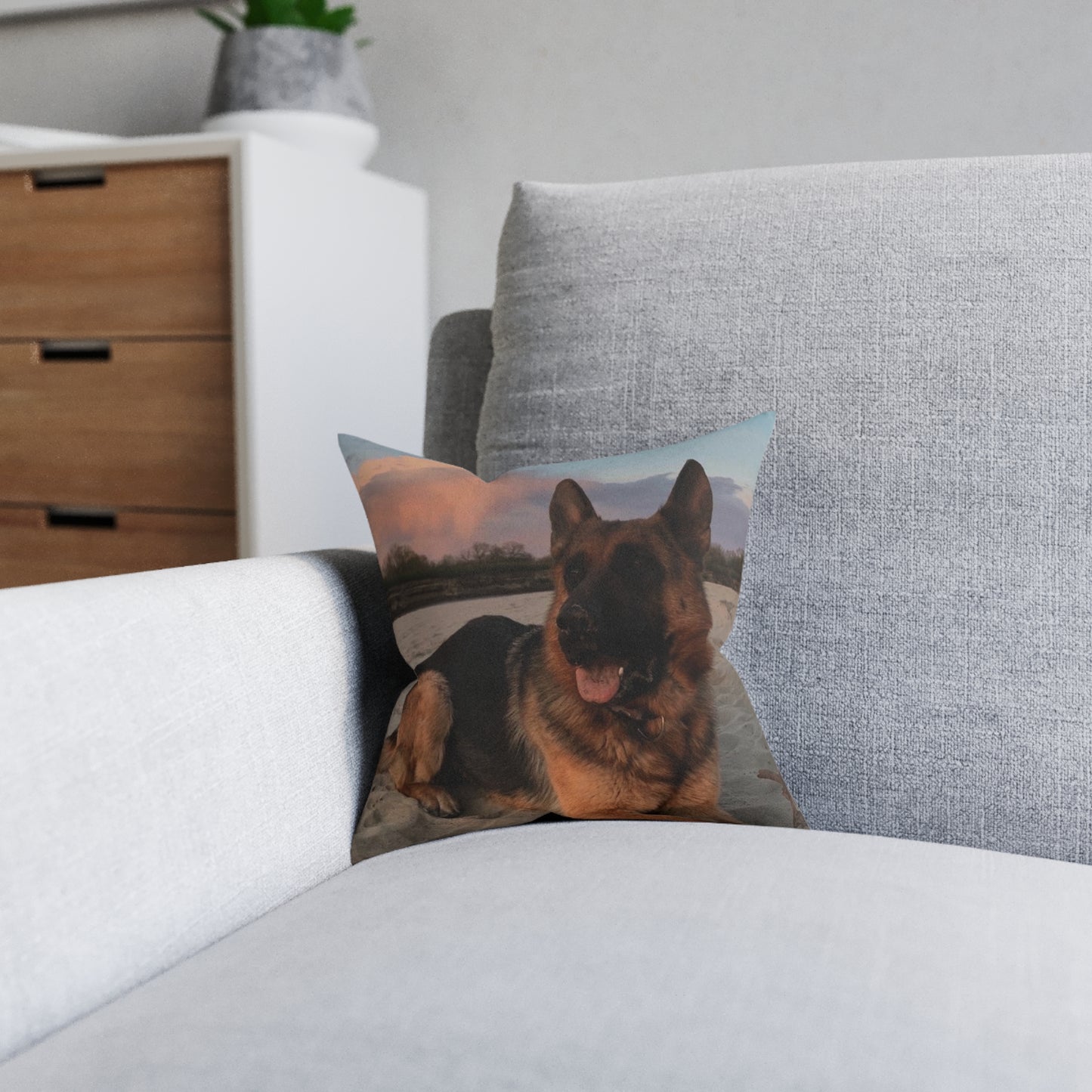 German Shepherd Dog