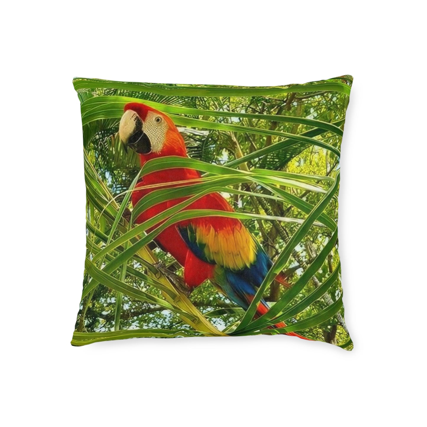 Parrot Red