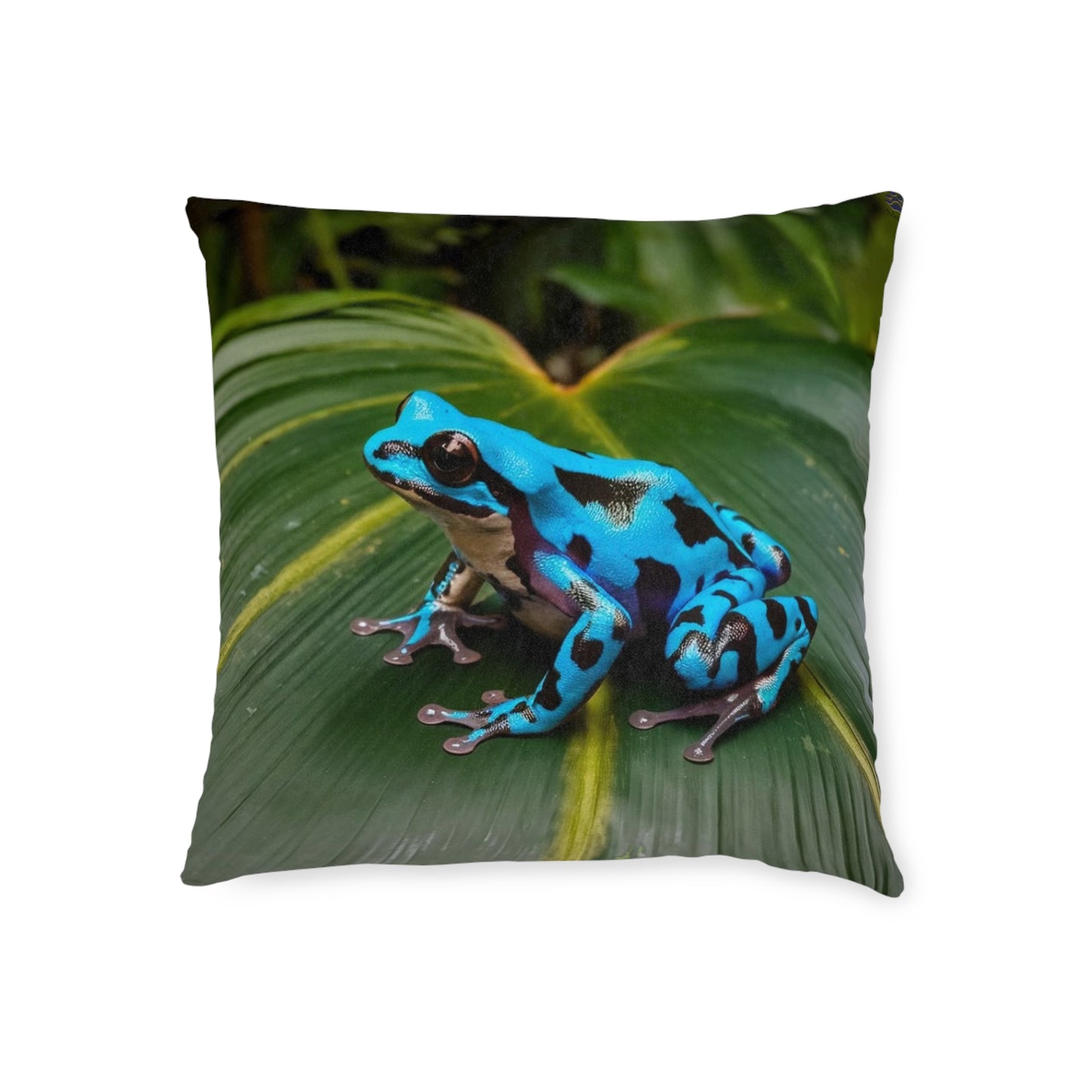 Poison Dart Frog Blue