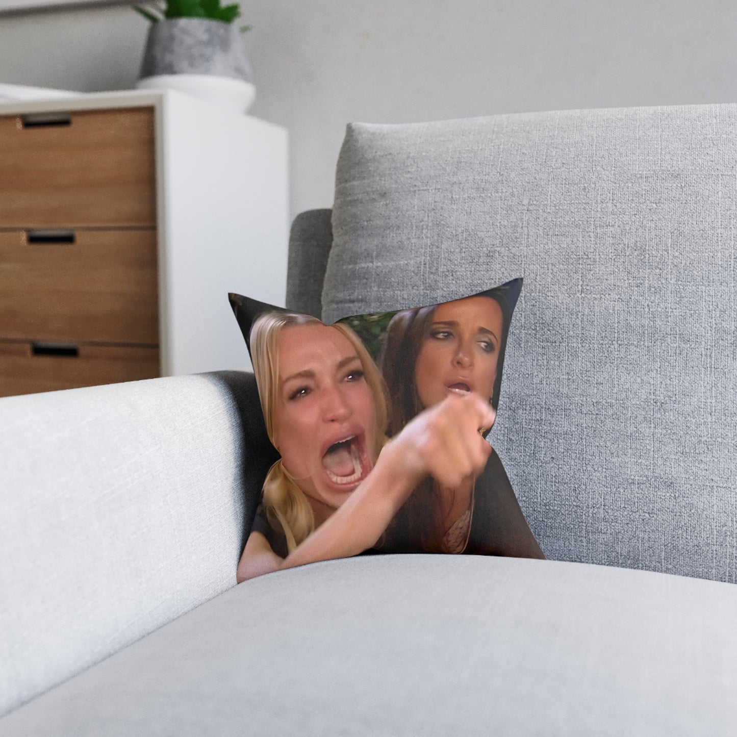 Lady Pointing At Cat Meme