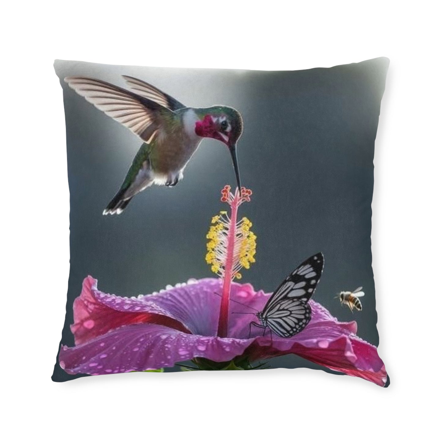 Humming Bird 2